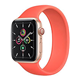 Apple Watch SE 44mm